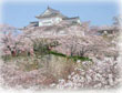 津山・鶴山公園